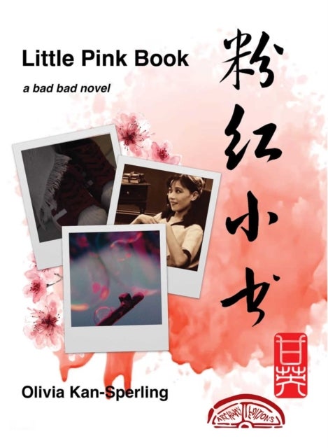 Little Pink Book - A Bad Bad Novel
