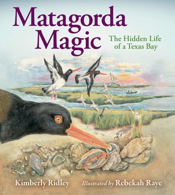 Matagorda Magic - The Hidden Life of a Texas Bay