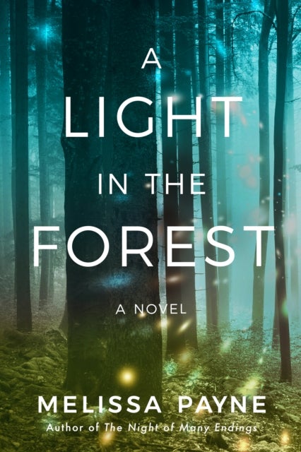 A Light in the Forest - A Novel