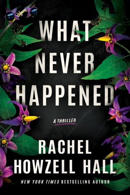 What Never Happened - A Thriller