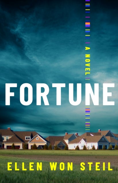 Fortune - A Novel