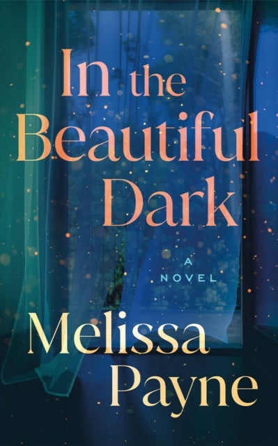 In the Beautiful Dark - A Novel