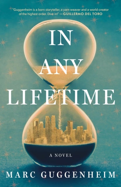 In Any Lifetime - A Novel