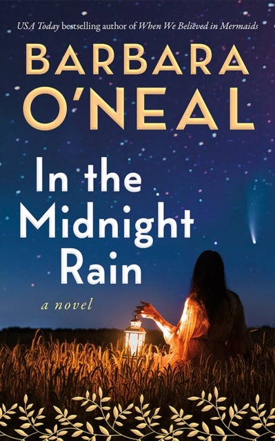 In the Midnight Rain - A Novel