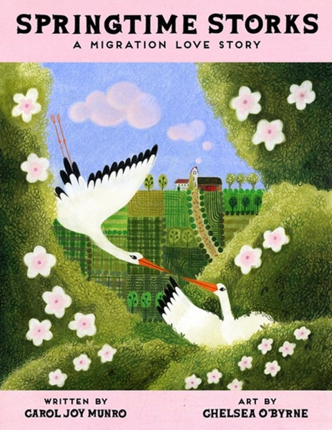 Springtime Storks - A Migration Love Story