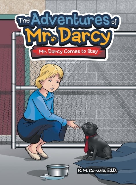The Adventures of Mr. Darcy - Mr. Darcy Comes to Stay