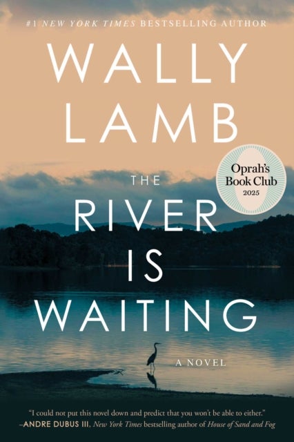 The River Is Waiting (Oprah's Book Club) - A Novel