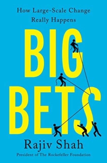 Big Bets - How Large-Scale Change Really Happens