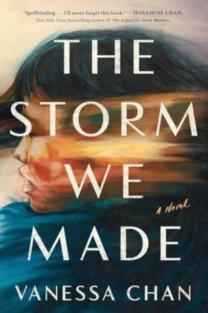 The Storm We Made - A Novel