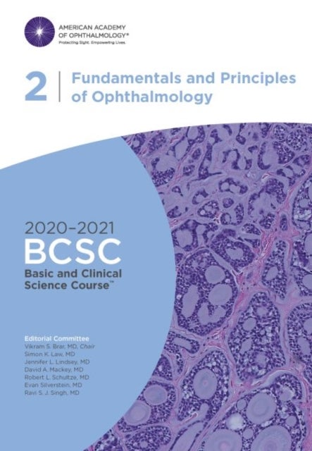 2020-2021 Basic and Clinical Science Course (TM) (BCSC), Section 02: Fundamentals and Principles of av Vikram S. Brar