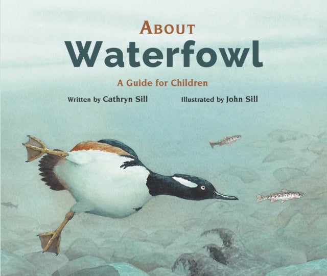 Bilde av About Waterfowl Av Cathryn Sill