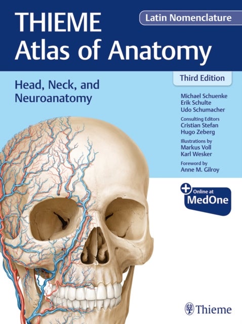 Bilde av Head, Neck, And Neuroanatomy (thieme Atlas Of Anatomy), Latin Nomenclature Av Michael Schuenke, Erik Schulte, Udo Schumacher, Cristian Stefan