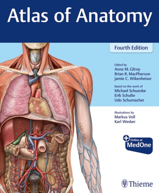 Bilde av Atlas Of Anatomy Av Anne M Gilroy, Brian R Macpherson, Wikenheiser
