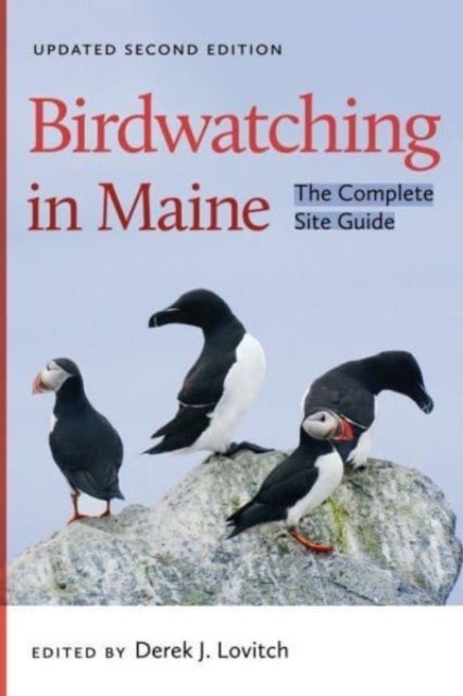 Birdwatching in Maine - The Complete Site Guide