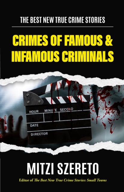 The Best New True Crime Stories: Crimes of Famous & Infamous Criminals - (True Crime Cases for True Crime Addicts)