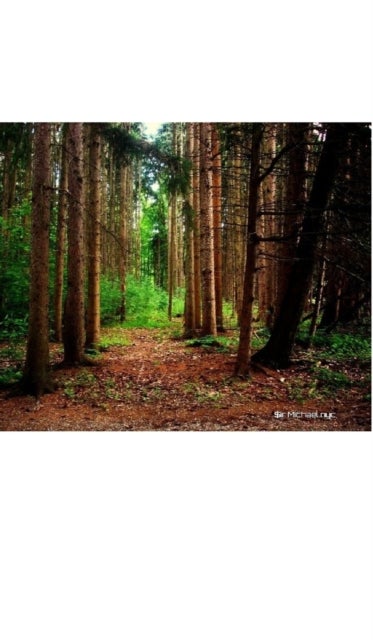 Nature grid style notebook $ir Michael NYC Limited edition - Nature grid style notebook $ir Michael NYC Limited edition