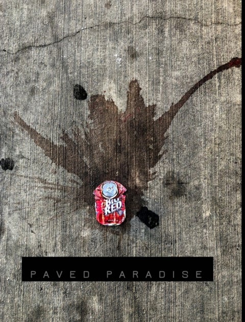 Paved Paradise - a look at what is left behind