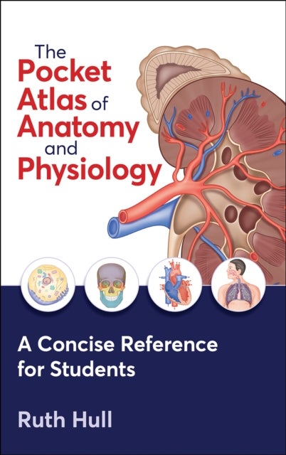 Bilde av The Pocket Atlas Of Anatomy And Physiology Av Ruth Hull
