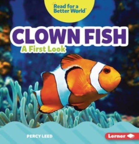 Clown Fish - A First Look