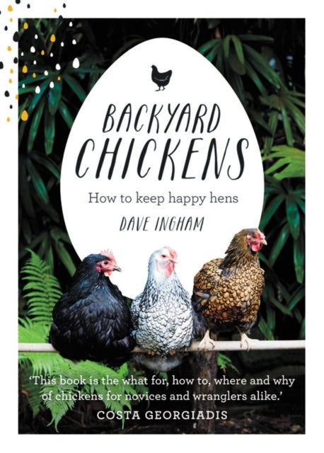 Backyard Chickens - How to keep happy hens