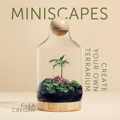 Miniscapes - Create your own terrarium
