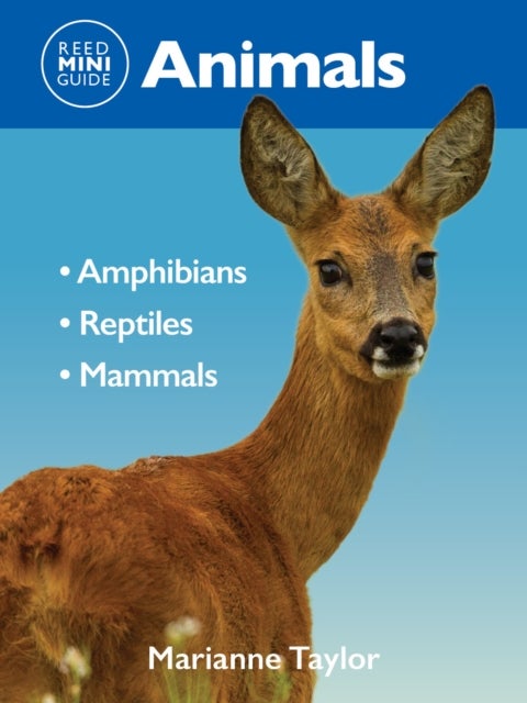 Reed Mini Guide: Animals - Amphibians l Reptiles l Mammals