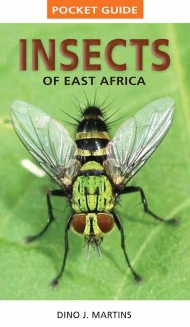 Bilde av Pocket Guide Insects Of East Africa Av Dino J. Martins