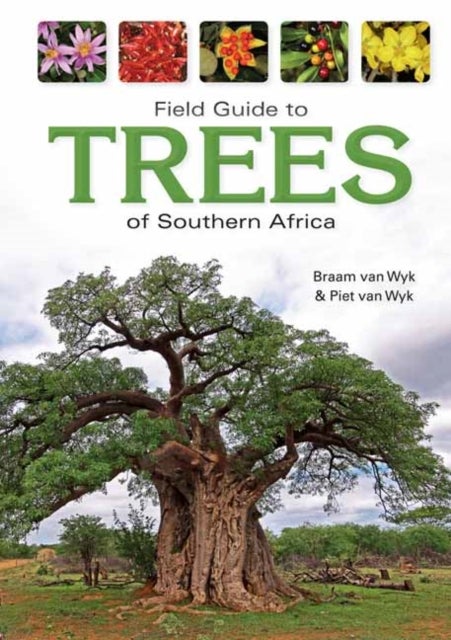 Bilde av Field Guide To Trees Of Southern Africa Av Braam Van Wyk