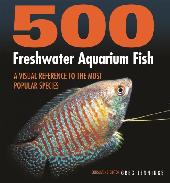 500 Freshwater Aquarium Fish av Greg Jennings