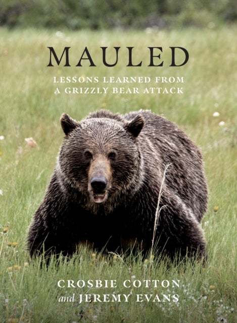 Mauled - Life¿s Lessons Learned from a Grizzly Bear Attack