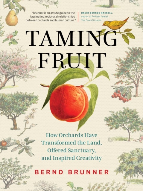 Taming Fruit - How Orchards Have Transformed the Land, Offered Sanctuary, and Inspired Creativity