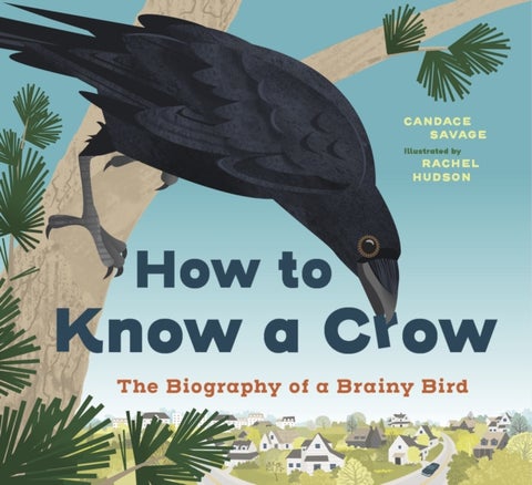 How to Know a Crow - The Biography of a Brainy Bird