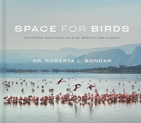 Space for Birds - Patterns and Parallels of Beauty and Flight