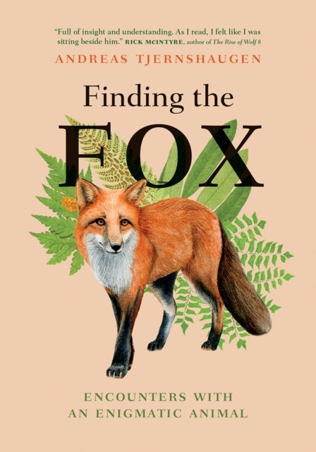 Bilde av Finding The Fox Av Andreas Tjernshaugen