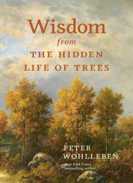 Bilde av Wisdom From The Hidden Life Of Trees Av Peter Wohlleben