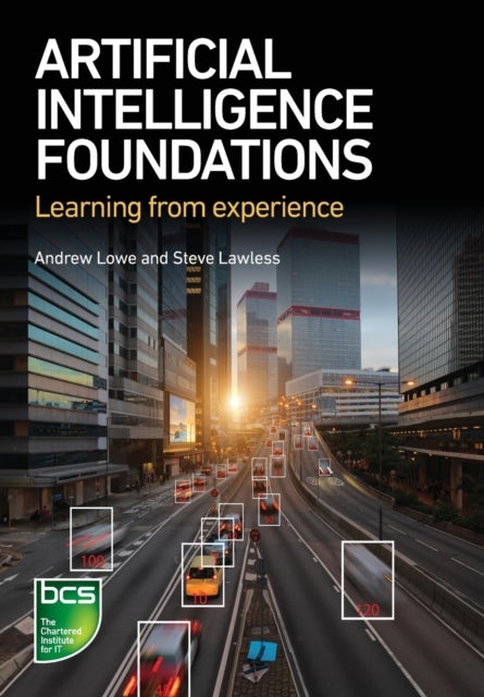 Artificial Intelligence Foundations - Learning from experience