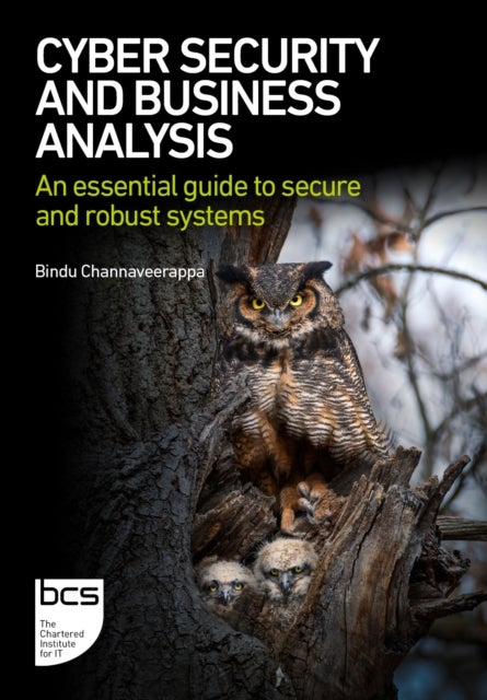 Cyber Security and Business Analysis - An essential guide to secure and robust systems