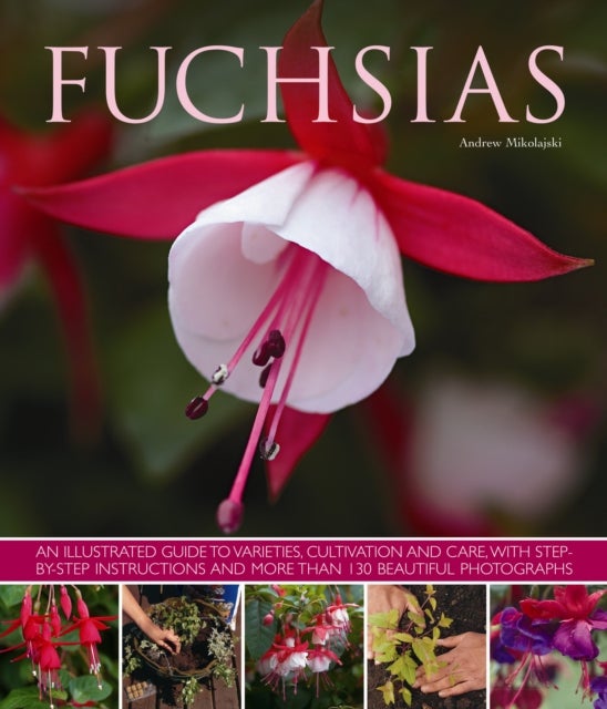 Fuchsias - an Illustrated Guide to Varieties, Cultivation and Care, with Step-by-step Instructions and More Tha