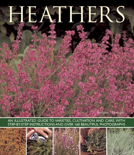 Heathers - An Illustrated Guide to Varities, Cultivation and Care, with Step-by-step Instructions and Over 160