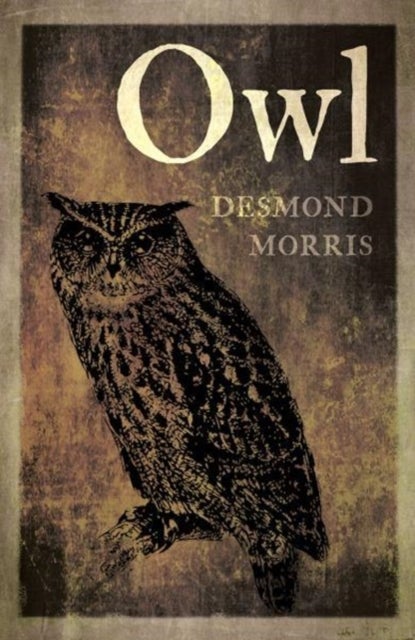Bilde av Owl Av Desmond Morris