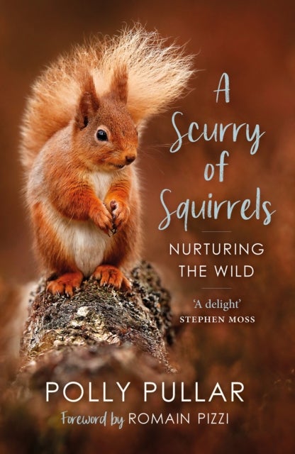 A Scurry of Squirrels - Nurturing The Wild