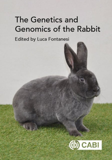 Bilde av Genetics And Genomics Of The Rabbit, The