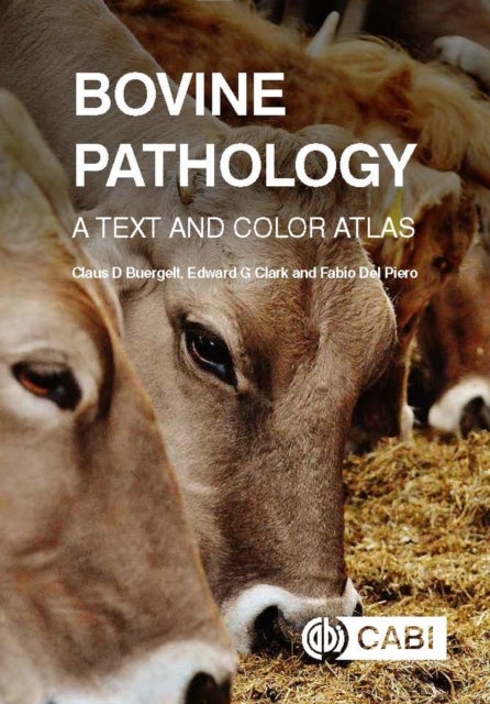Bovine Pathology - A Text and Color Atlas