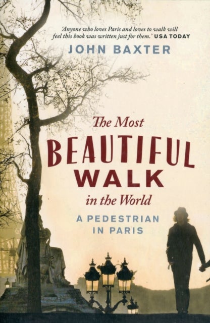 The Most Beautiful Walk in the World - A Pedestrian in Paris