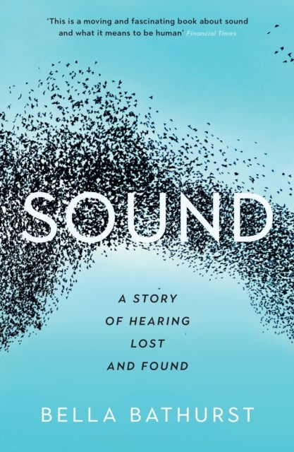 Sound - A Story of Hearing Lost and Found