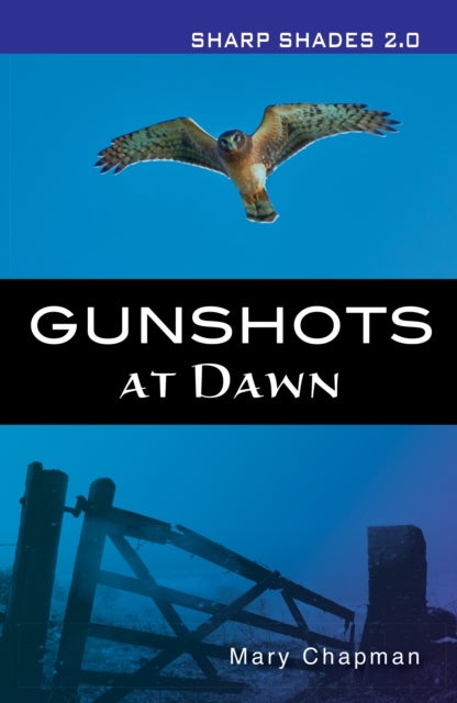 Gunshots At Dawn (Sharp Shades)