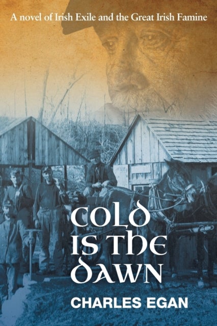 Cold is the Dawn - A Novel of Irish Exile and the Great Irish Famine