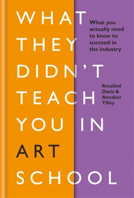 What They Didn't Teach You in Art School - What you need to know to survive as an artist