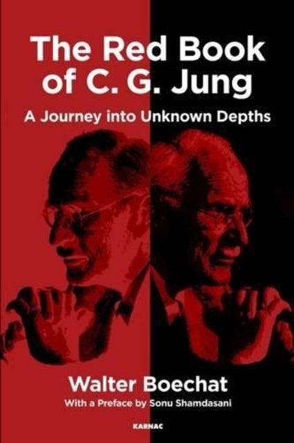 The Red Book of C.G. Jung - A Journey into Unknown Depths