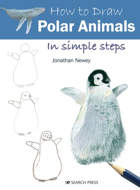 How to Draw: Polar Animals - In Simple Steps